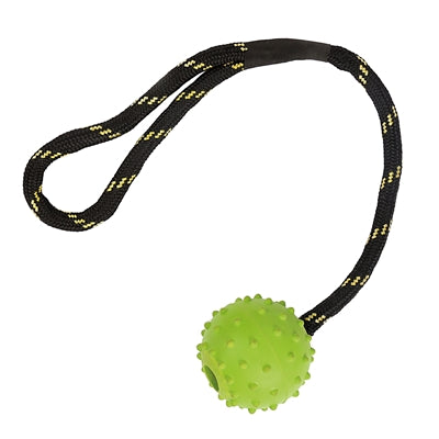 Jouets résistants pour animaux de compagnie heureux, flotteur, corde en caoutchouc, asstd