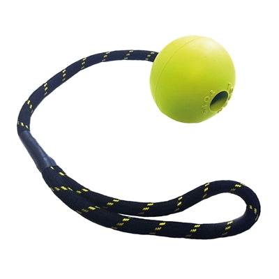 Jouets résistants pour animaux de compagnie heureux, flotteur, corde en caoutchouc, asstd