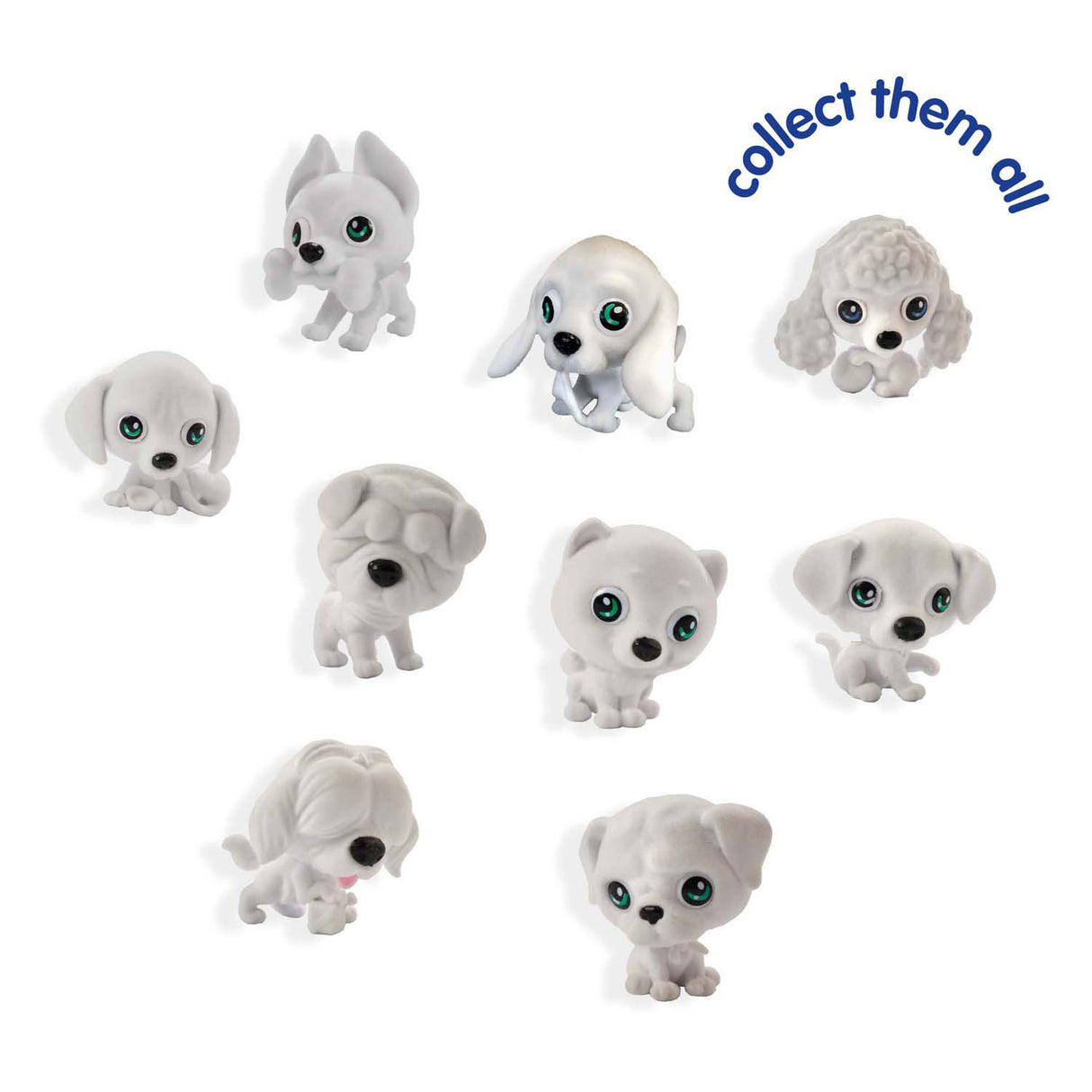 Ses chiots tripes à l'aérographe surprise