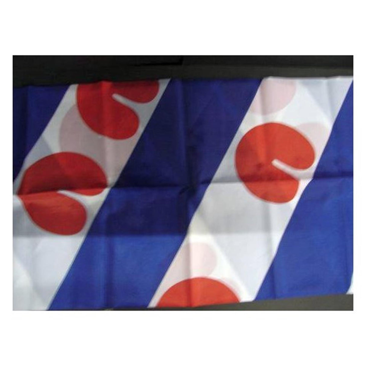 Dokkumer flags drapeau central Frise 40x60cm