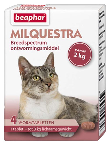 Beapar milquestra chat