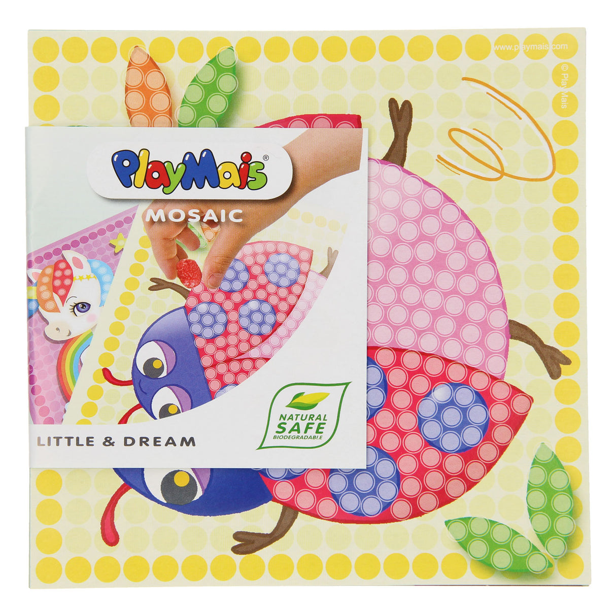 Les cartes mosaïque Playmais décorent les insectes