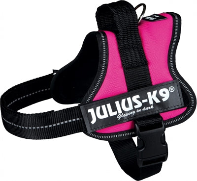 Julius K9 Power-Harnas Tuig pour les étiquettes Fuchsia