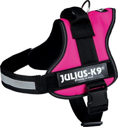 Julius K9 Power-Harnas Tuig pour les étiquettes Fuchsia