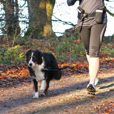 Ceinture de hanche Trixie avec ligne de jogging noir