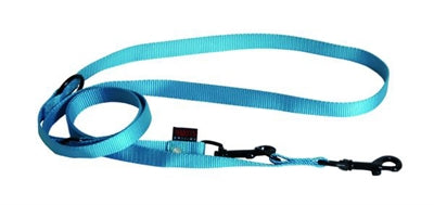 Laisse pour chien Martin polyvalente en nylon turquoise