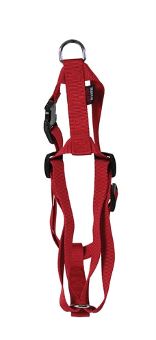 Harnais pour chien Martin basic nylon rouge