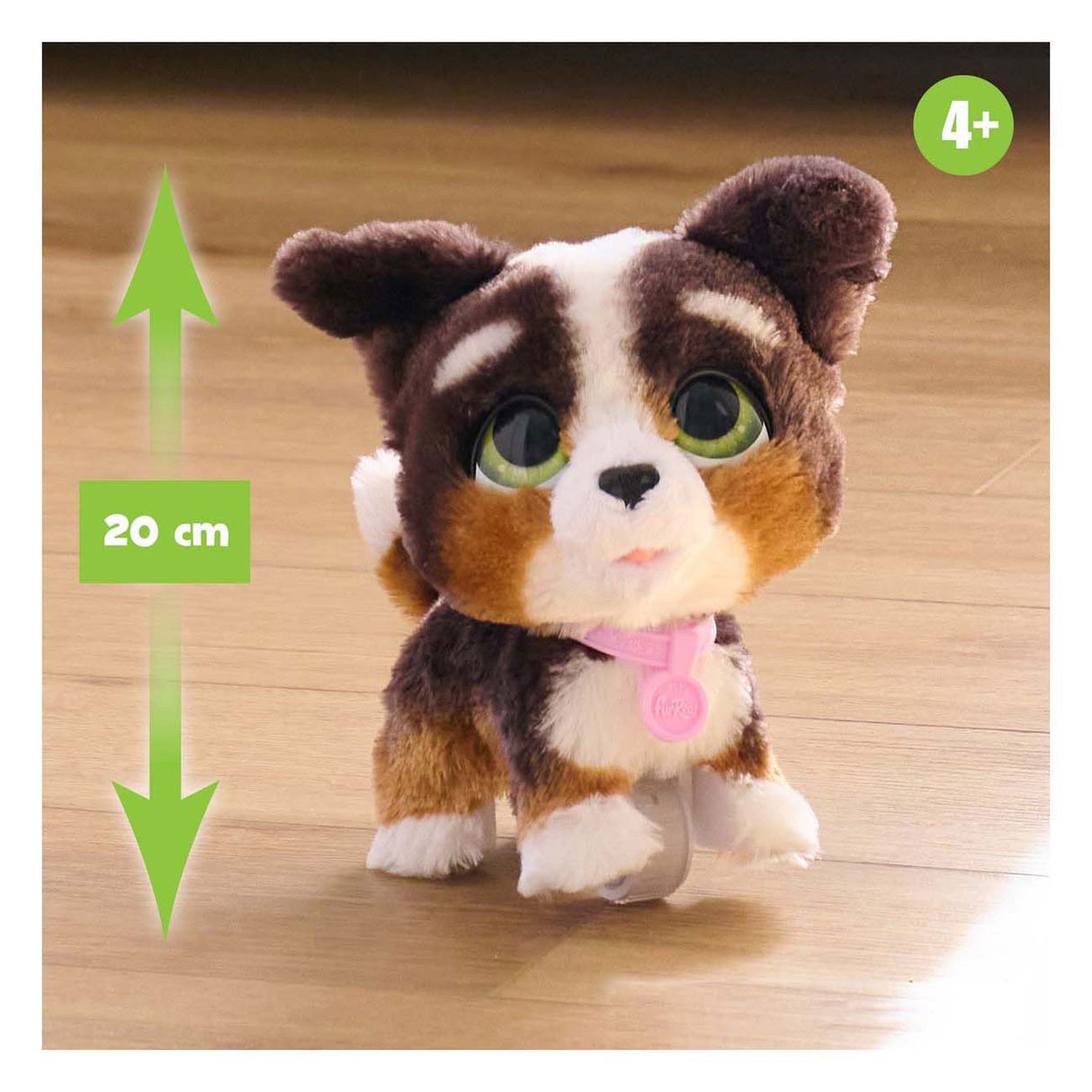Spectron furreal marche beaucoup bernedoodle