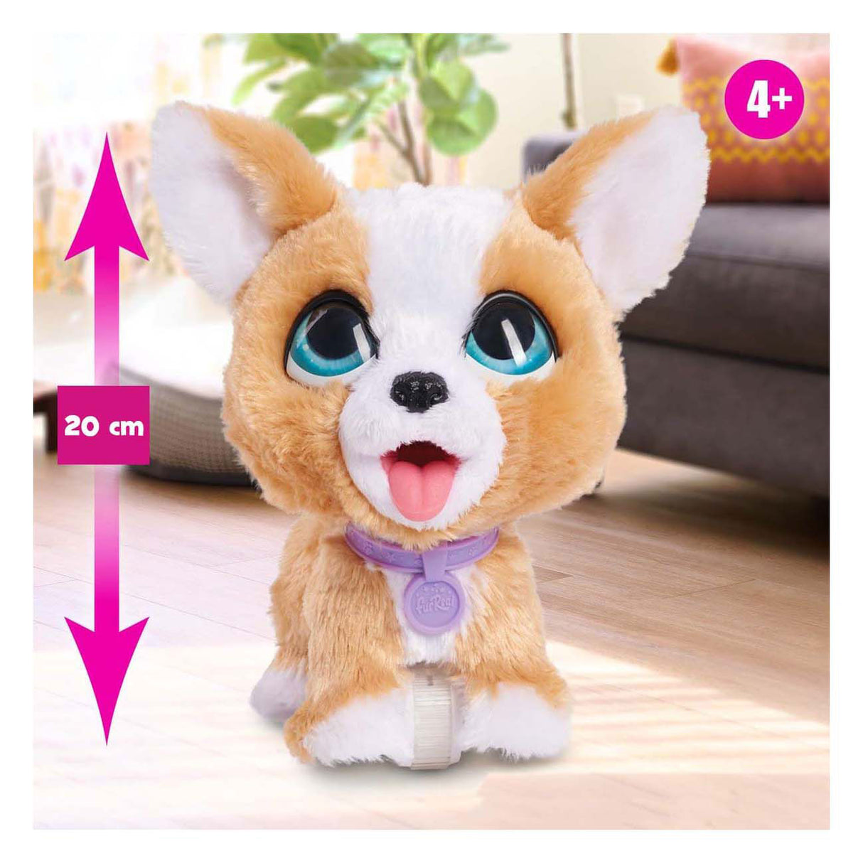 Spectron furreal caca beaucoup de corgi