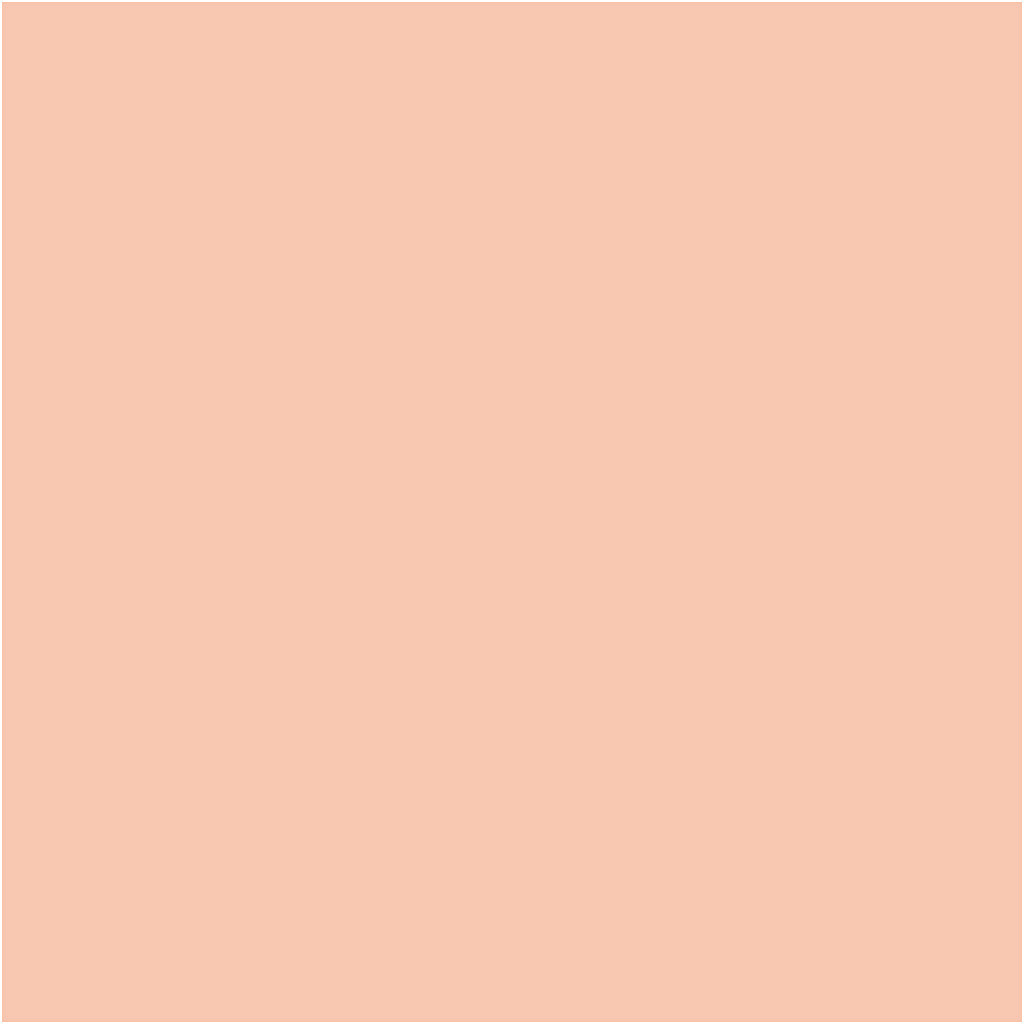Marqueurs de couleur Bic Visa Color, largeur de trait 3 mm, beige clair, 12 pièces 1 boîte