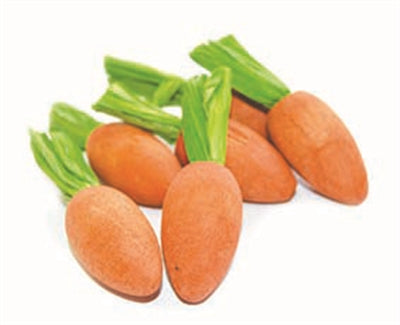 Critter's Choice Happy Pet grignoteuses de carottes rongeant le bois