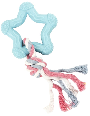 Petits coquins mordent étoile bleu rose blanc