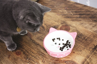 Happy pet gamelle pour chat polka rose crème