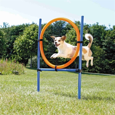 Anneau d'agilité d'activité pour chien Trixie bleu orange