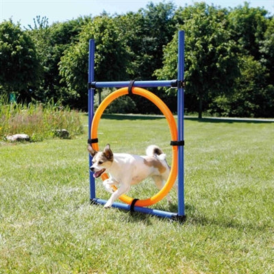 Anneau d'agilité d'activité pour chien Trixie bleu orange