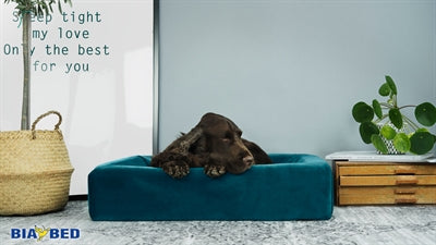 Hoes Bia Royal Velvet pour Dog Basket Essence
