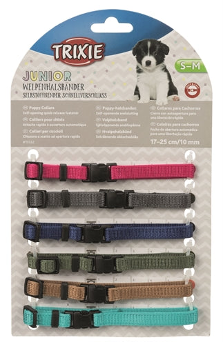 Ensemble collier pour chiot Trixie fuchsia graphite indigo vert forêt corail