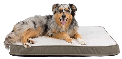 Trixie vital oreiller orthopédique taupe gris clair