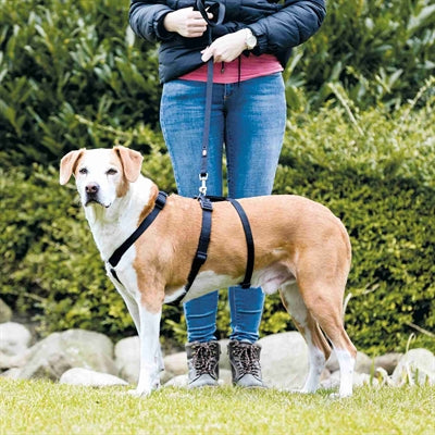 Harnais pour chien Trixie rester noir
