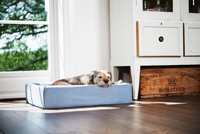 Bia Cotton Hoes pour Hond Basket Blue