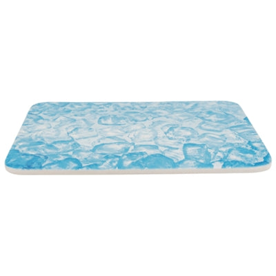 Plaque réfrigérante Trixie pour petits animaux bleue