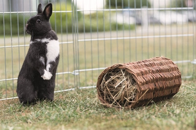 Lapin tunnel en saule Trixie