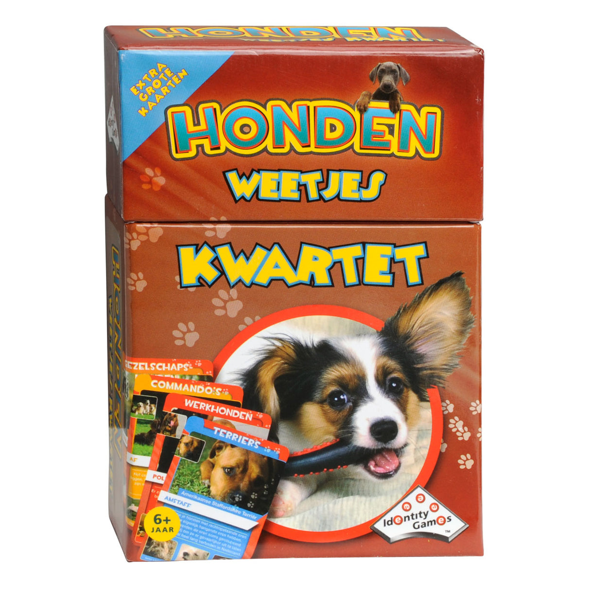 Quatuor de faits sur les chiens des jeux d'identité
