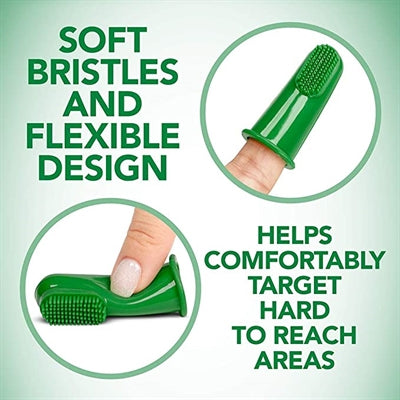 Vétérinaires meilleures brosses à dents