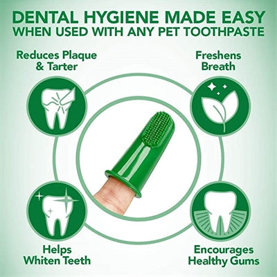 Vétérinaires meilleures brosses à dents