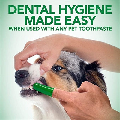 Vétérinaires meilleures brosses à dents