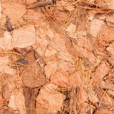 Chips de noix de coco Reptiland Trixie