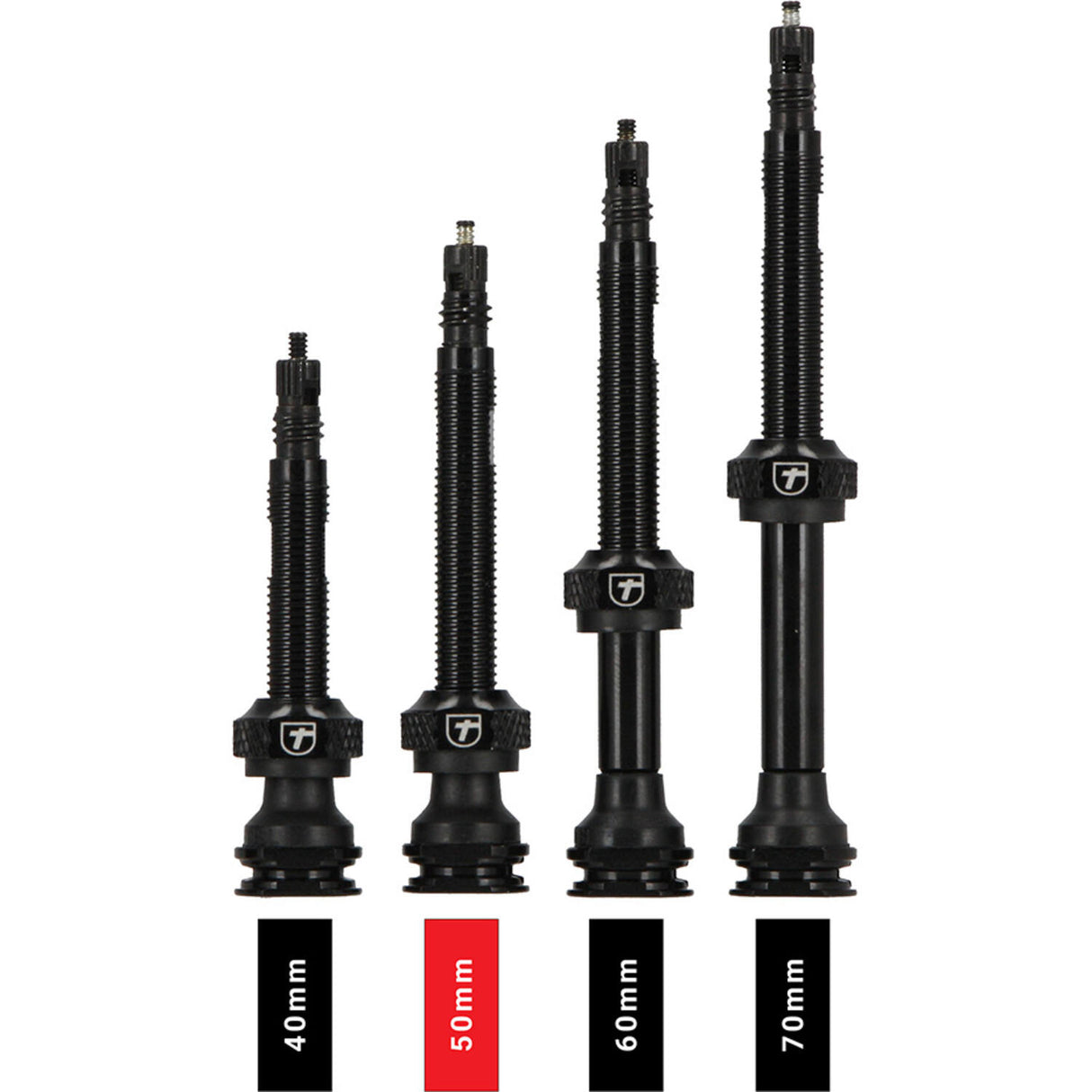 Trivio - valve tubeless noire fvt