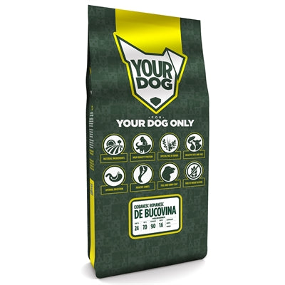 Yourdog Ciobanesc Romanescence de Bucovina mature