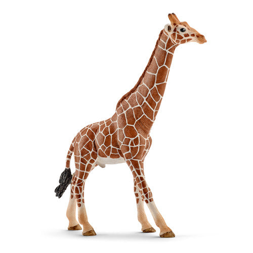 Schleich vie sauvage - girafe mâle - figurine de jeu - jouets pour enfants pour garçons et filles - 3 à 8 ans - 14749