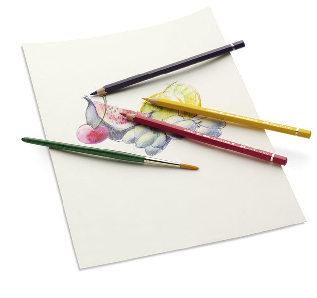 Faber Castell FC-117524 crayon aquarelle Faber-Castell Albrecht Dürer trousse de 24 pièces