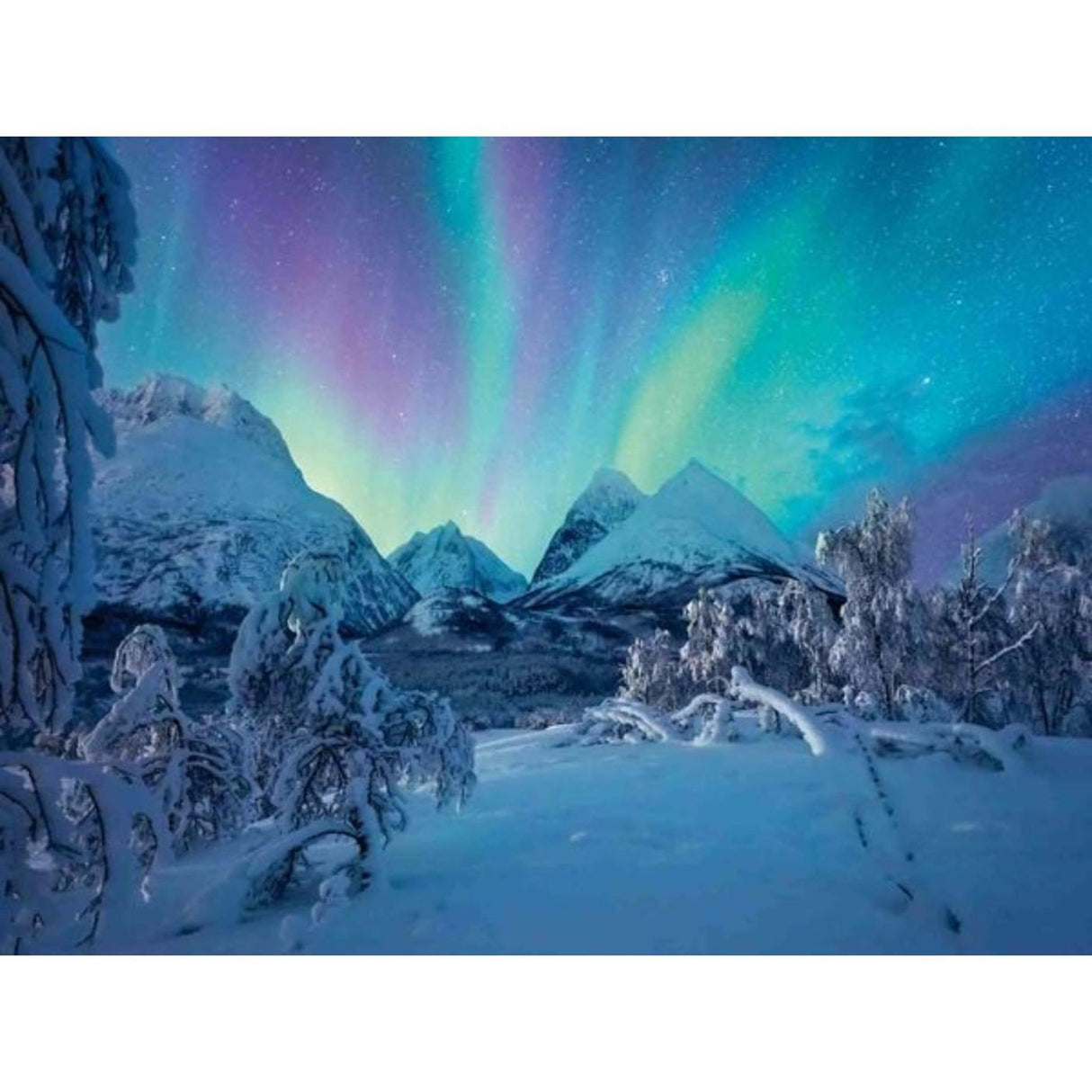 Ravensburger Puzzle Wenn Die Nordlicher Tanzen 1500 pièces