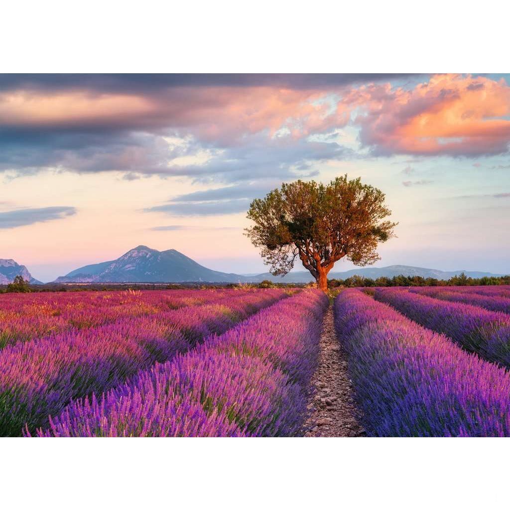 Ravensburger puzzle champs de lavande 1000 pièces