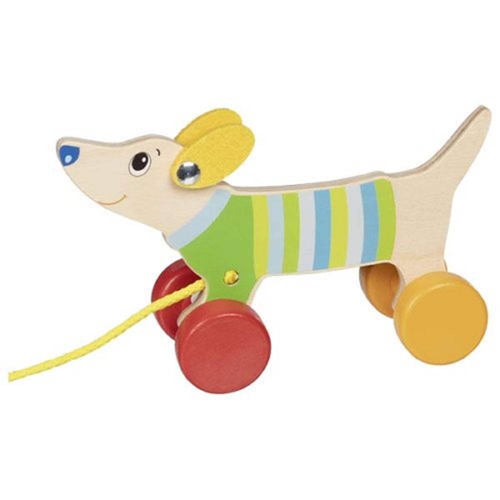 Animal de trait Goki - chien