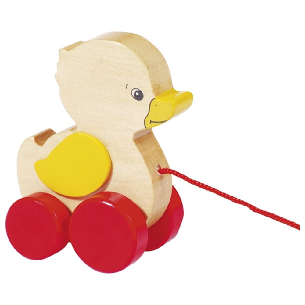Animal de trait Goki - canard