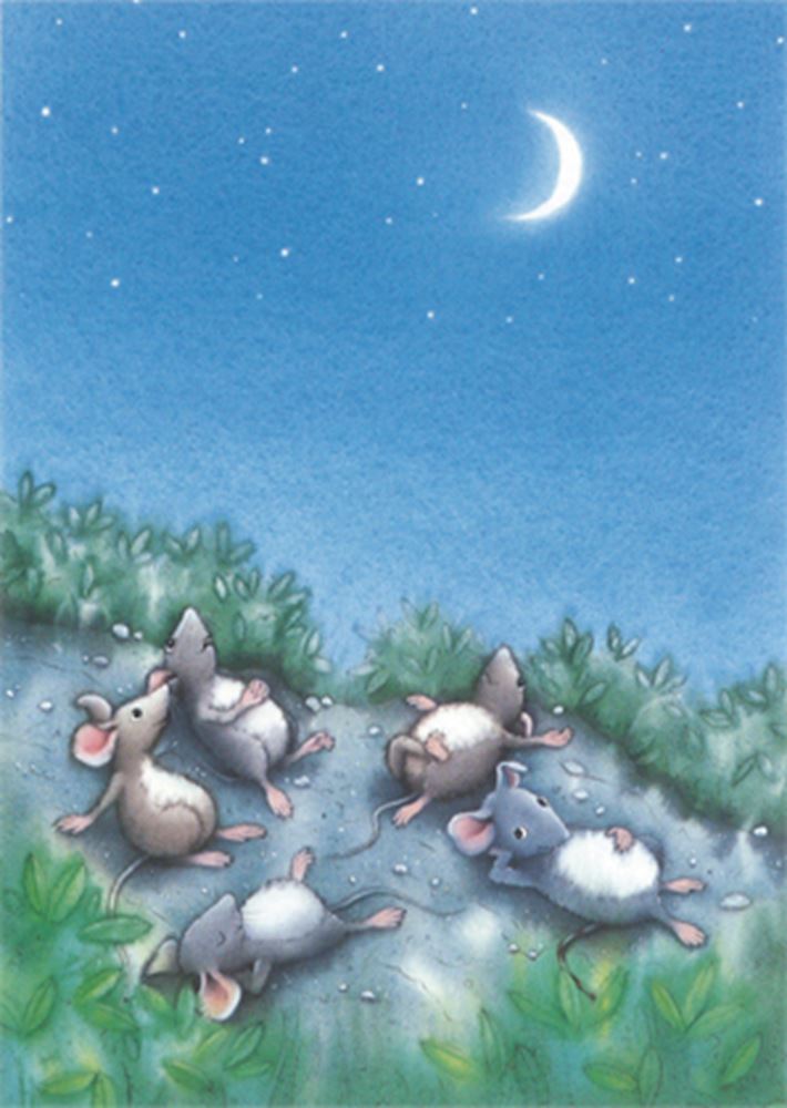 Carte postale illustrée 234 : max, nuit de lune. (10