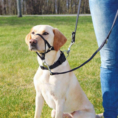 Trixie harnais pour chien top trainer harnais anti-traction noir