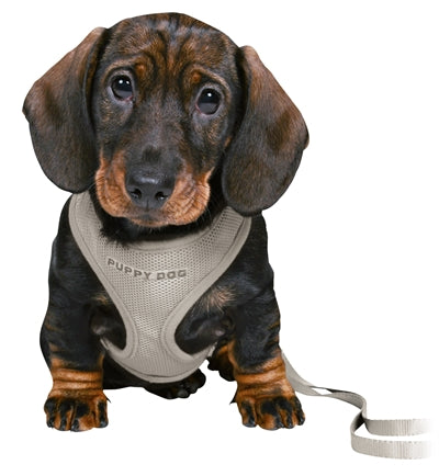 Trixie harnais pour chiot junior souple avec laisse gris clair