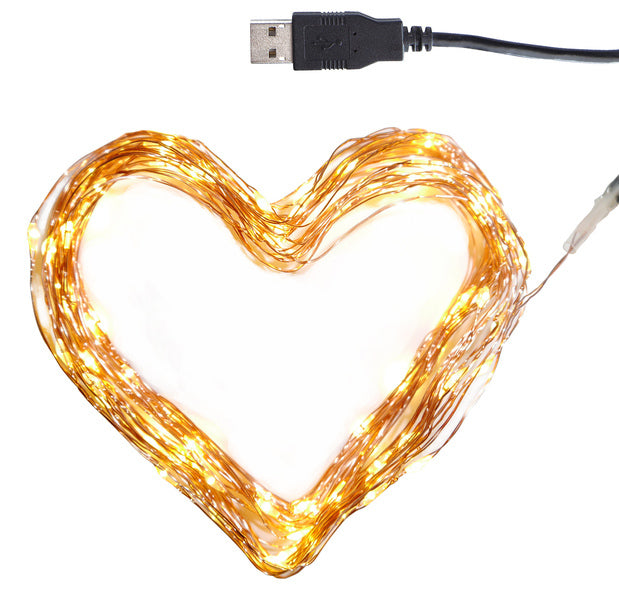 Westcott ac-cl10001 clauss guirlande lumineuse led 100 led #039;s 10 m blanc chaud