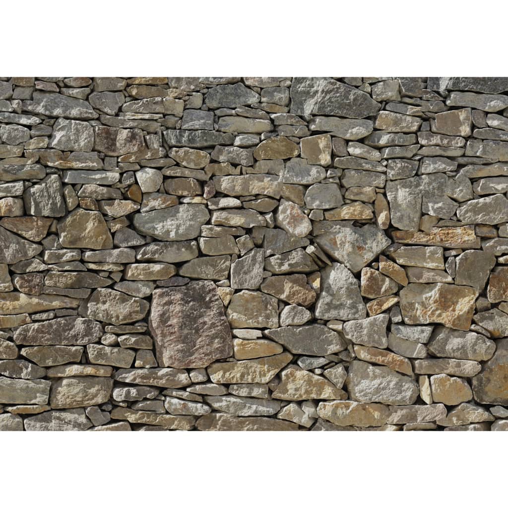Komar Photo Fond d'écran mur de pierre 368x254 cm 8-727