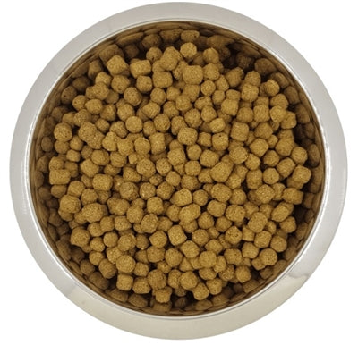 YourDog nanarfof typedel mature