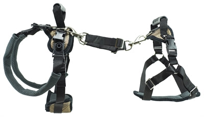Solvit PetSafe Carelift avant et arrière