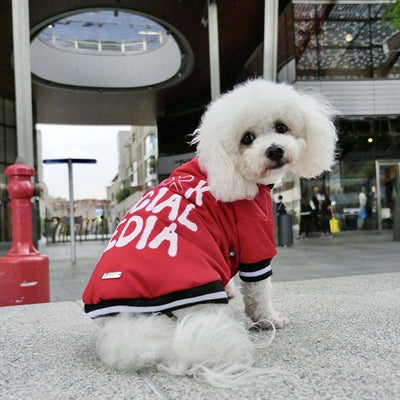 Croci Manteau pour chien réseaux sociaux rouge