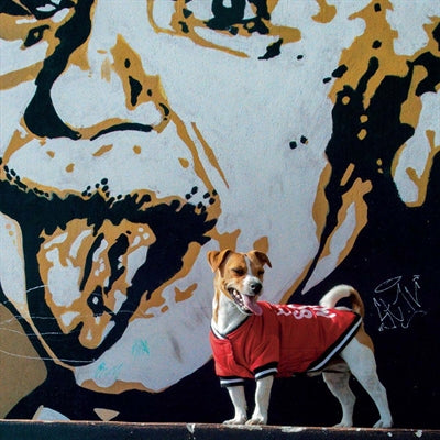 Croci Manteau pour chien réseaux sociaux rouge