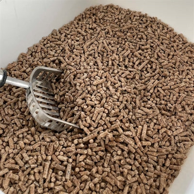 Litière pour chat à granulés de bois classiques biodégradables Easypets
