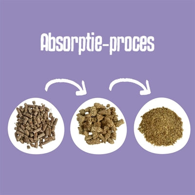 Litière pour chat à granulés de bois classiques biodégradables Easypets